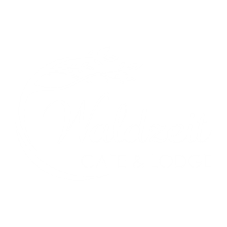 Waldzeit Café & Lodge